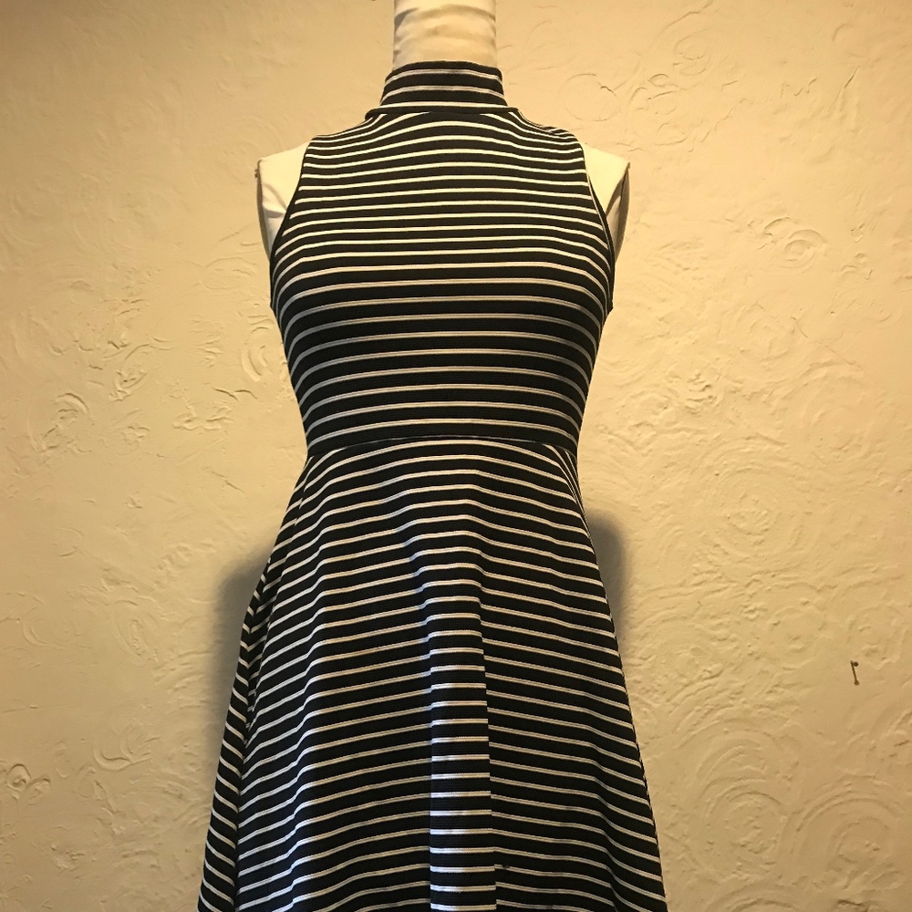 Acemi black and white striped skater dress